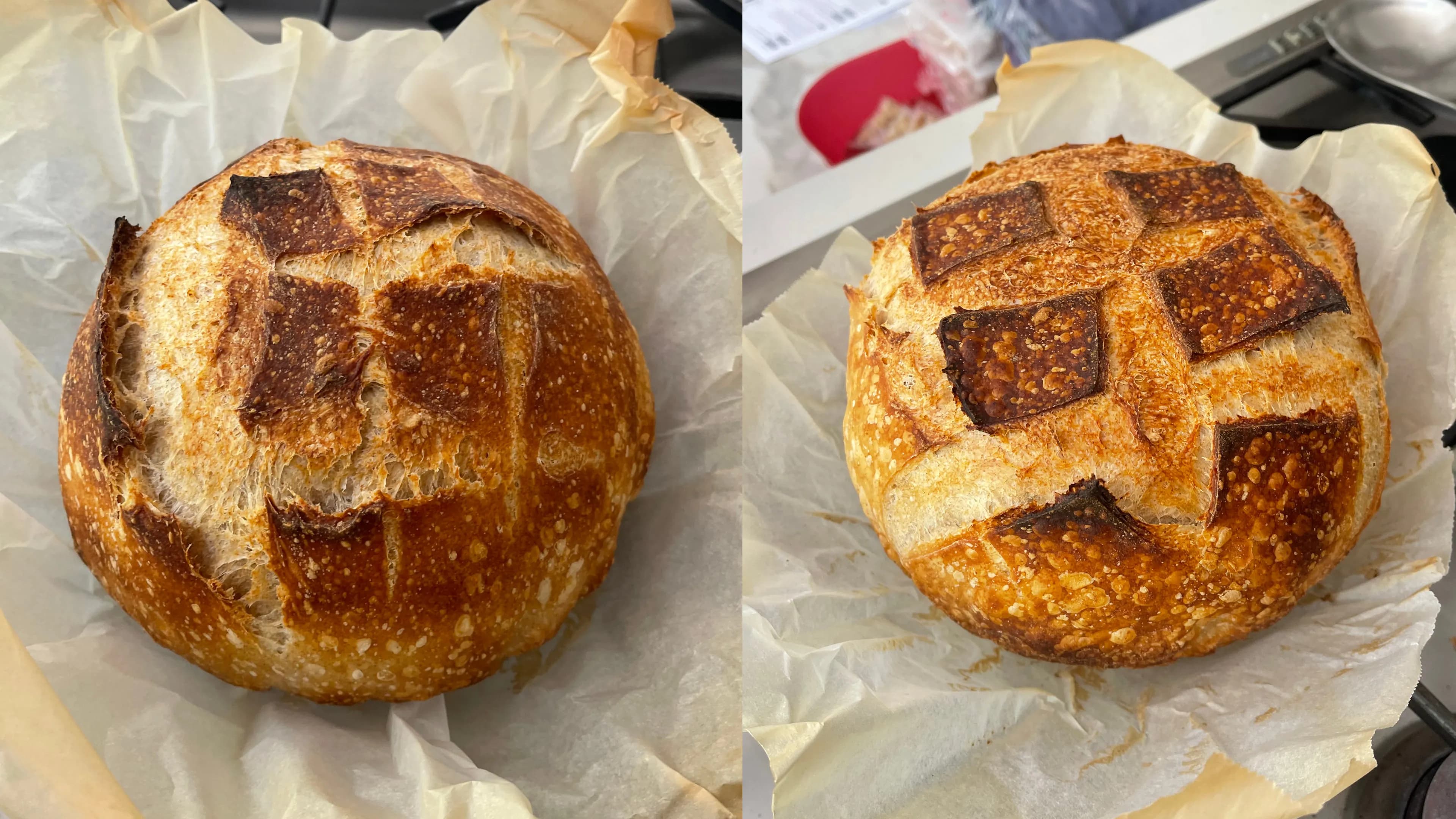 My first set of sourdough loaves